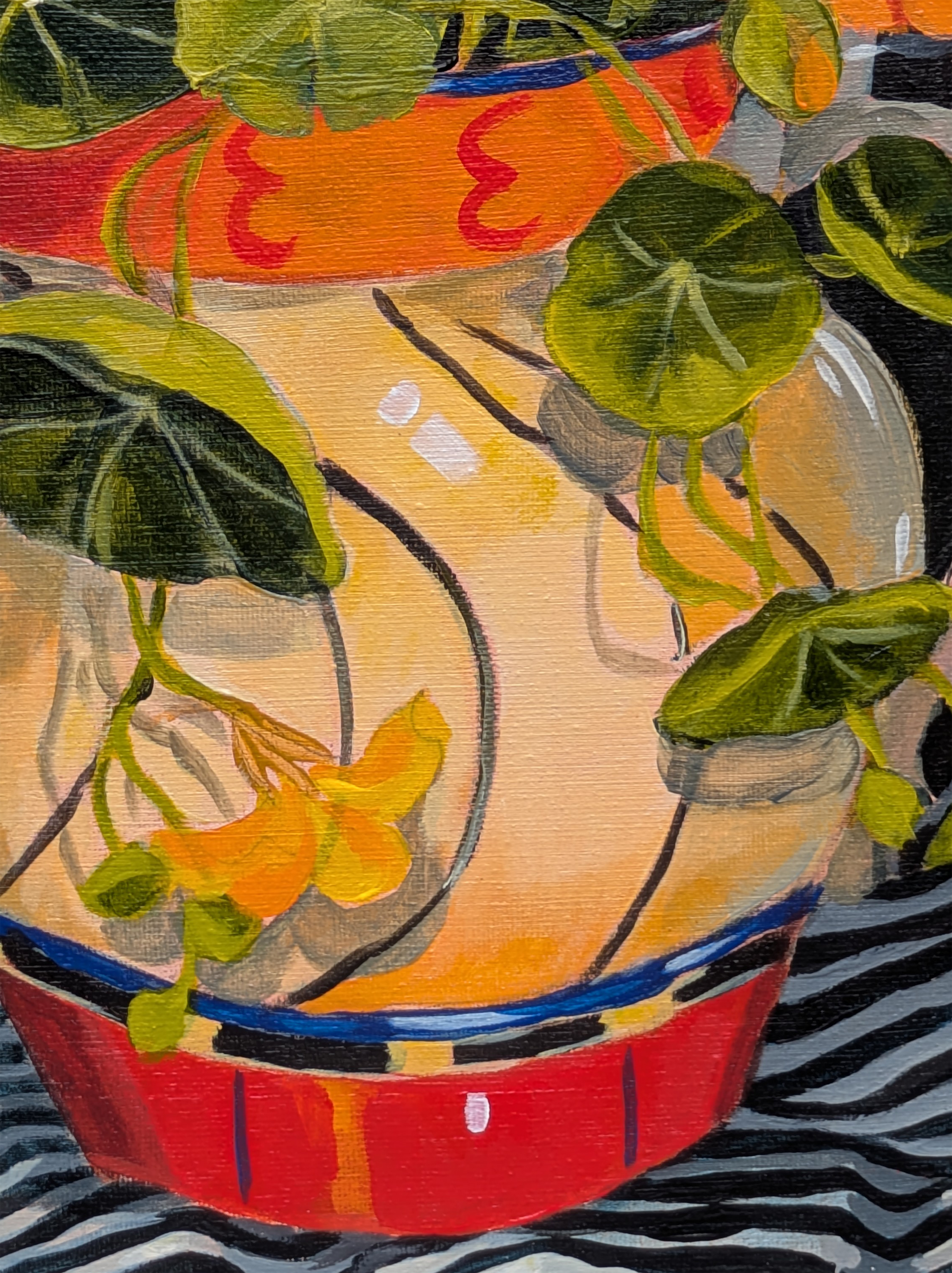 Anna's Nasturtiums — view 3